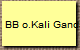 BB o.Kali Gandaki