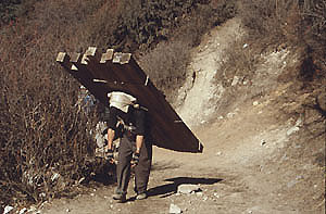 Tengboche 07 holzträger P 0300 Tengboche 07 holzträger P 0300