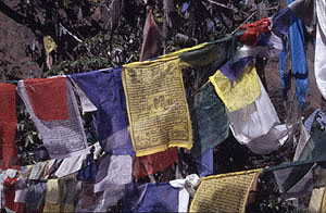 tengboche 14 grat Gebetsfahnen  P 0300