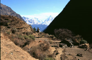 Manaslu 2005 AdR 118  P 0325