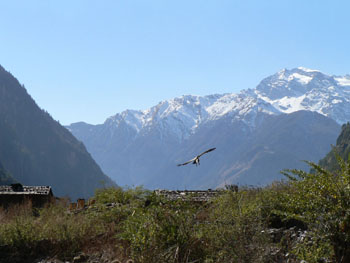 Manaslu 05 HPS 14-07 P0350