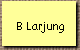 B Larjung