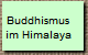 Buddhismus
im Himalaya