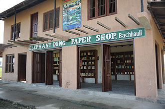 Chitwan 2011 23 elefantendungpapier y220 Chitwan 2011 23 elefantendungpapier y220