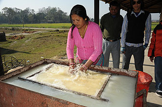 Chitwan 2011 35 Elefantendungpapier y220