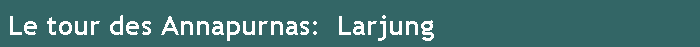 Le tour des Annapurnas:  Larjung