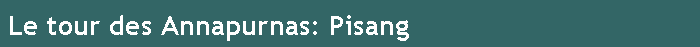 Le tour des Annapurnas: Pisang