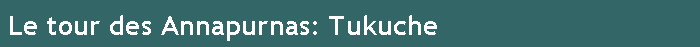 Le tour des Annapurnas: Tukuche