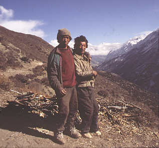 tilicho yak herders