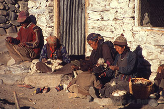 Kagbeni 23 h220 Kagbeni 23 h220