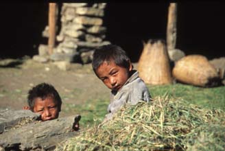 Purang 12 Annapurna nepal h220 Purang 12 Annapurna nepal h220