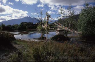 Purang 3 Annapurna nepal h220 Purang 3 Annapurna nepal h220