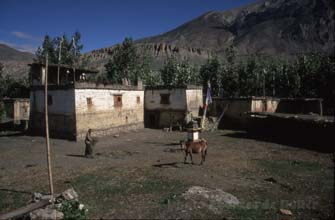 Purang 6 Annapurna nepal h220 Purang 6 Annapurna nepal h220