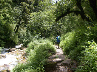 Annapurna Monsun 15 waldwegx0325