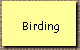 Birding