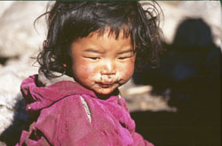 manaslu 0508 AdR27 P 0250 manaslu 0508 AdR27 P 0250