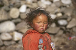 manaslu 0508 AdR39 P 0250 manaslu 0508 AdR39 P 0250