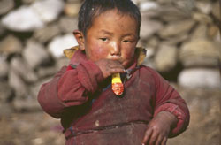manaslu 0508 AdR40 P 0250 manaslu 0508 AdR40 P 0250