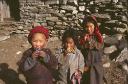 manaslu 0508 AdR44 P 0250 manaslu 0508 AdR44 P 0250