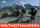 Reiseveranstalter weltweitwandern logo 60